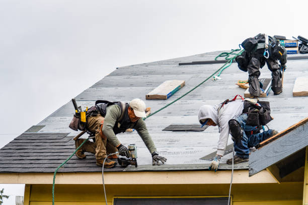 Professional Roofing technician working in West Lebanon, IN